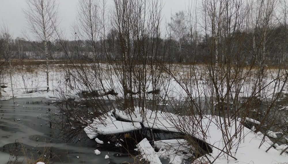 Будет преимущественно пасмурно. Фото Анны Зубаревой