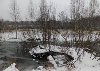 Будет преимущественно пасмурно. Фото Анны Зубаревой
