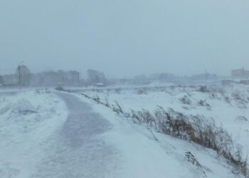 Фото из архива редакции