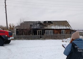 Фото СУ СК России по НСО