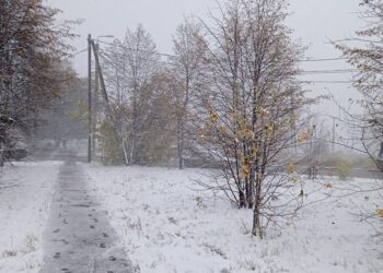 Осадки практически всю неделю прогнозируют в области. Фото Анны Зубаревой