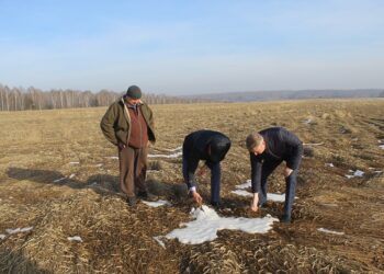 Фото Натальи Кривякиной