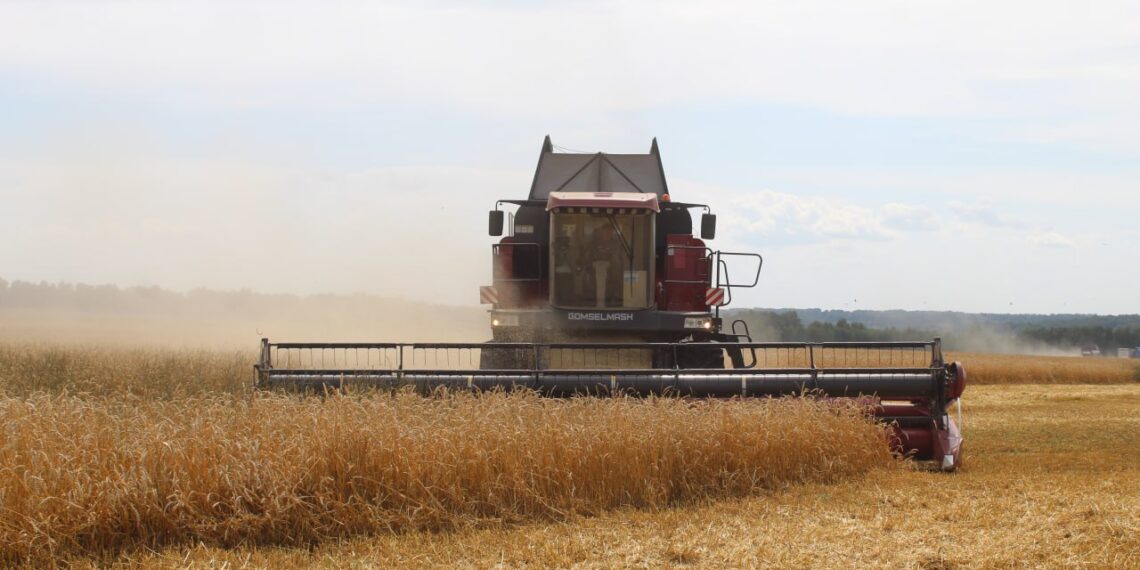 Фото из архива редакции