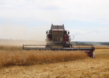 Фото из архива редакции