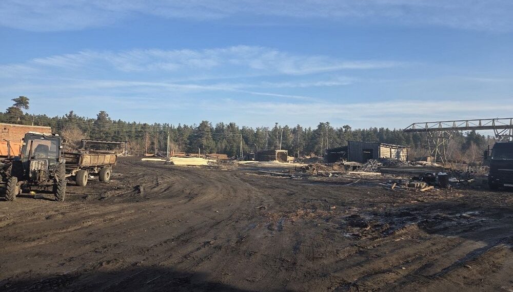 Фотография СУ СК России по Новосибирской области