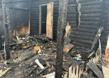 Фотография
СУ СК России по Новосибирской области