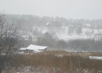 Снег, метели, пасмурно. Фото Анны Зубаревой