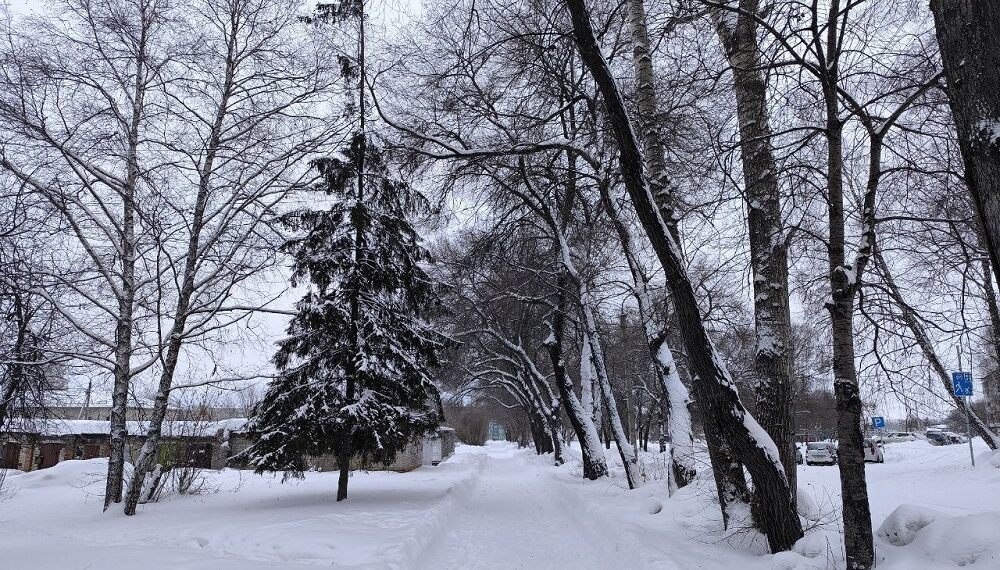Снег обещают на неделе с 22 декабря. Фото Анны Зубаревой