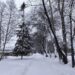 Снег обещают на неделе с 22 декабря. Фото Анны Зубаревой