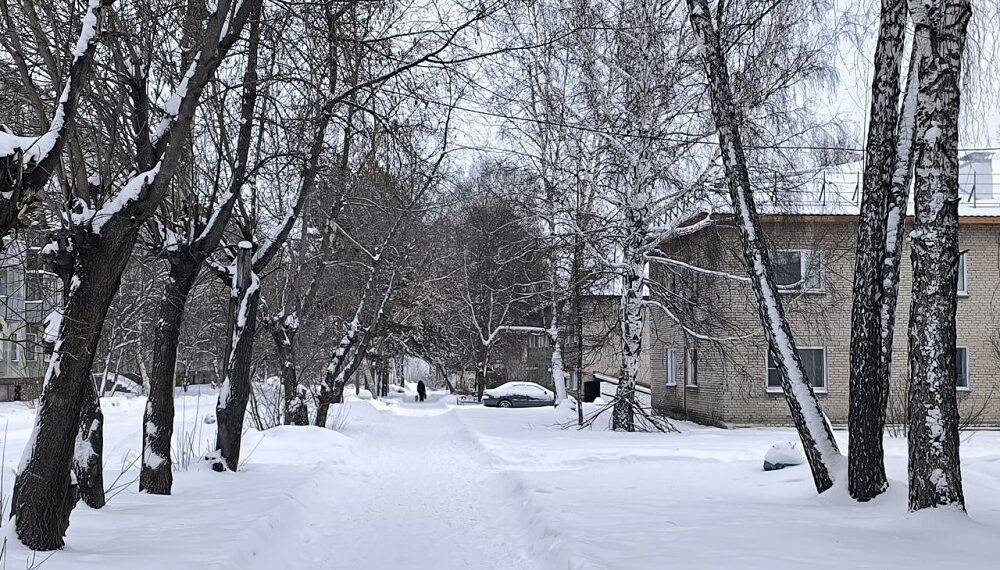 Фото Анны Зубаревой