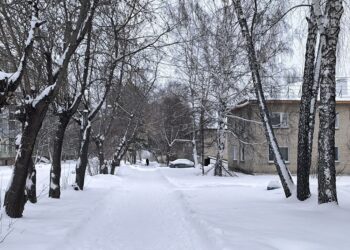 Фото Анны Зубаревой