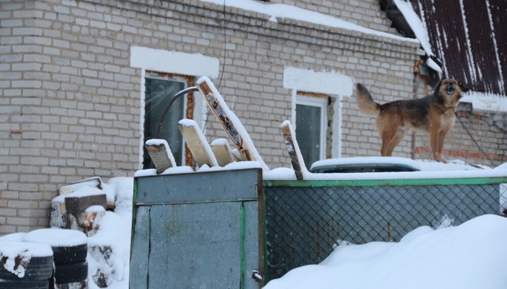 Фотография Анны Зубаревой