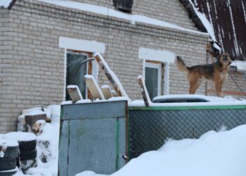 Фотография Анны Зубаревой