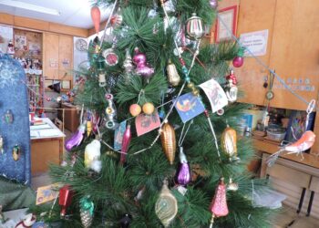 Фото из архива редакции