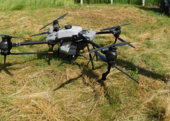 Фото из архива редакции