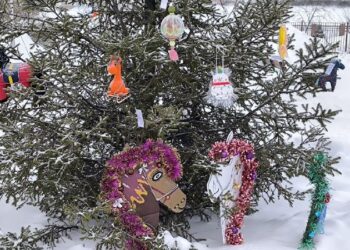 Фото Анны Зубаревой