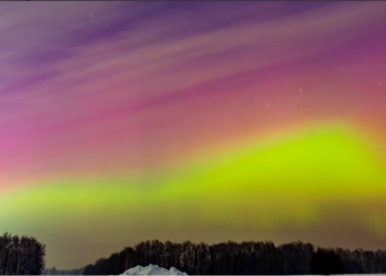 Скриншот кадра видео Алексея Полякова