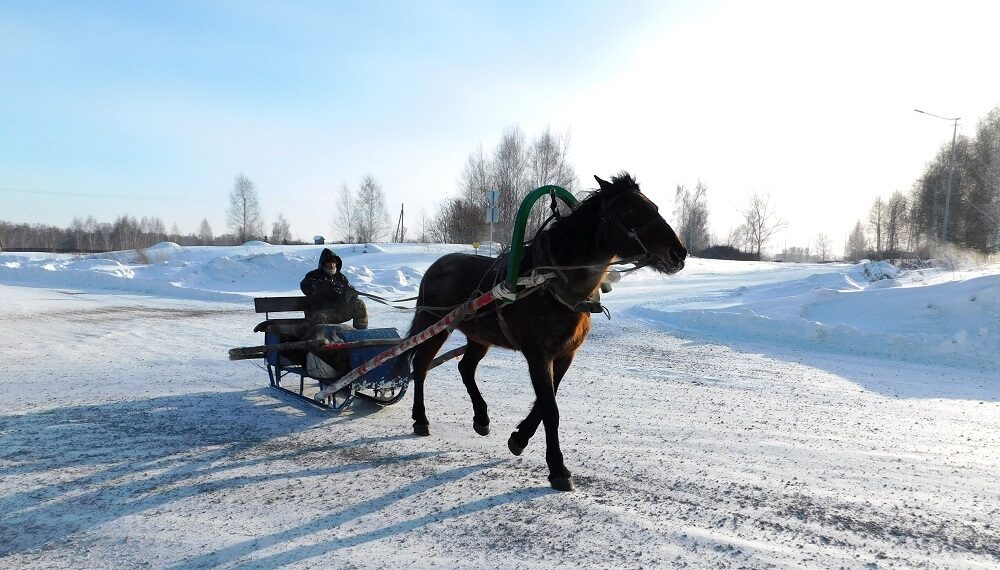 Идет небольшое потепление. Фото Анны Зубаревой