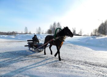Идет небольшое потепление. Фото Анны Зубаревой