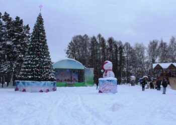Фото пресс-службы администрации Искитима
