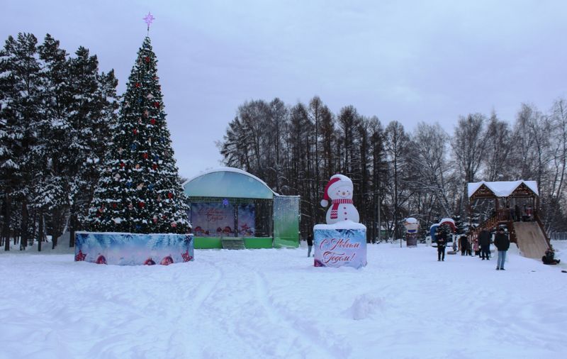 Фото пресс-службы администрации Искитима