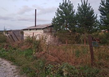 Фото из архива редакции