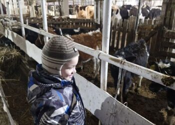 Фото предоставлены отделом ЗАГС Искитимского района