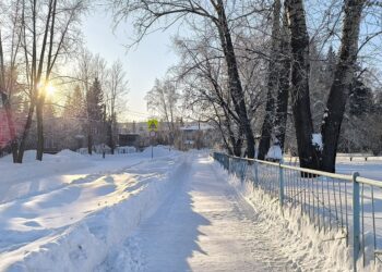 Мороз и солнце. Фото Анны Зубаревой