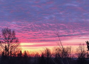 Фото Анны Зубаревой
