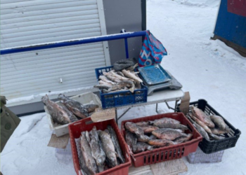 Фотография Мэрия Новосибирска