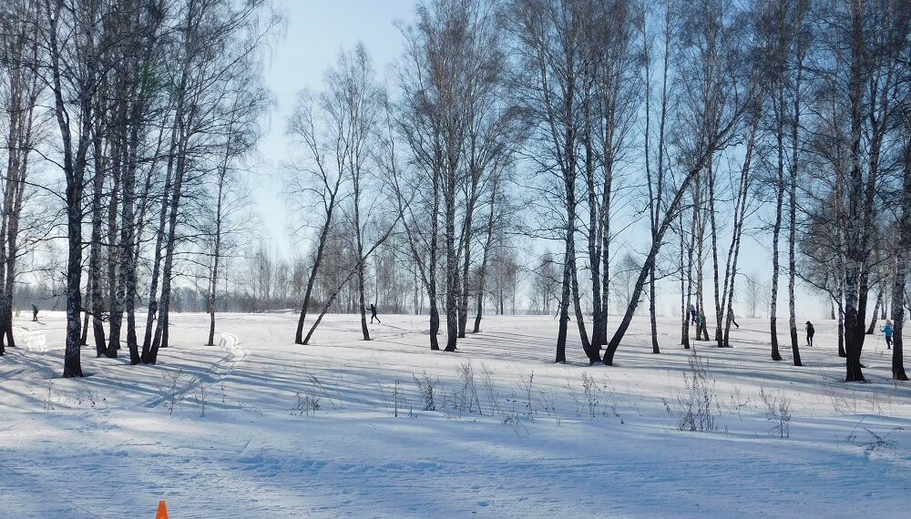 Февраль. Фото Анны Зубаревой