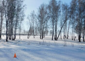 Февраль. Фото Анны Зубаревой