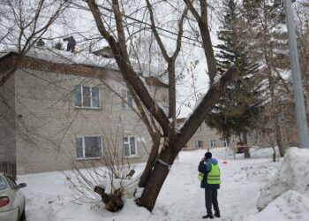 Фото пресс-службы администрации Искитимского района