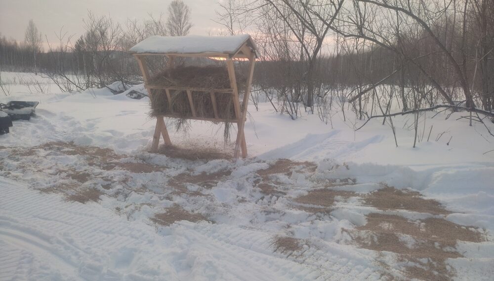 Фотография группы Природоохранное содействие