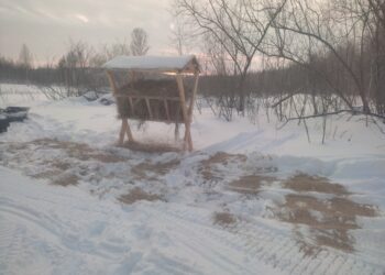 Фотография группы Природоохранное содействие