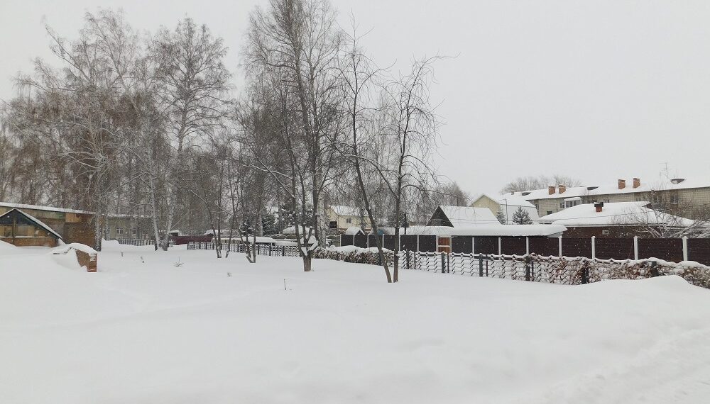 Фотография Анны Зубаревой