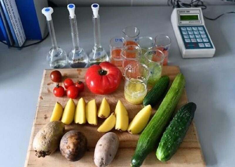 Фотография с сайта Управления ветеринарии Новосибирской области