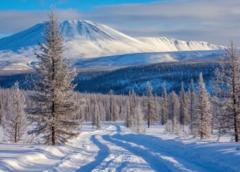 Изображение сгенерировано нейросетью Шедеврум