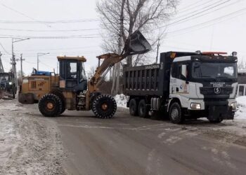 Фото ТУАД Новосибирской области