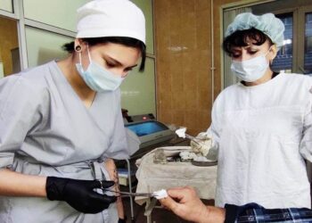 Фотография пресс-службы ИЦРБ