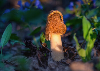 Фотография Минприроды России