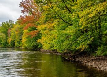 Изображение сгенерировано нейросетью Шедеврум, носит иллюстративный характер