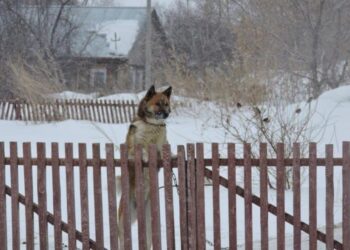 Фото из архива редакции