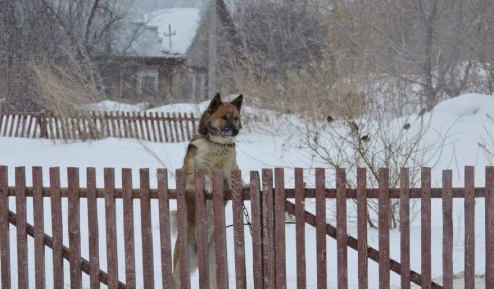 Фото из архива редакции