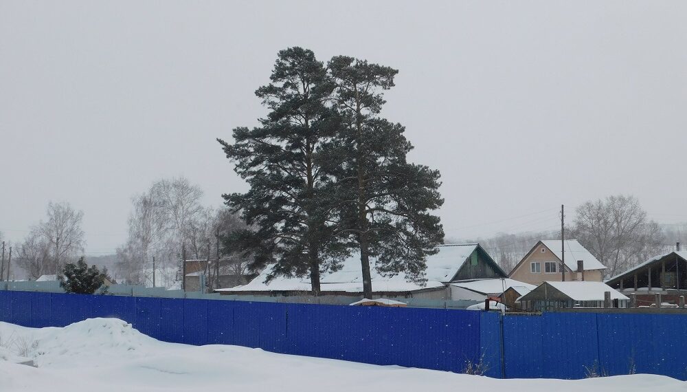 Фото из архива редакции