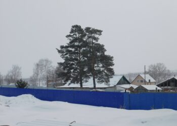 Фото из архива редакции