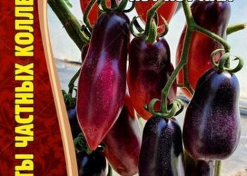 Фотография Сибирское межрегиональное управление Россельхознадзора