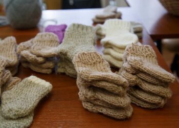 Фото предоставлено помощником депутата Госдумы Александра Аксёненко