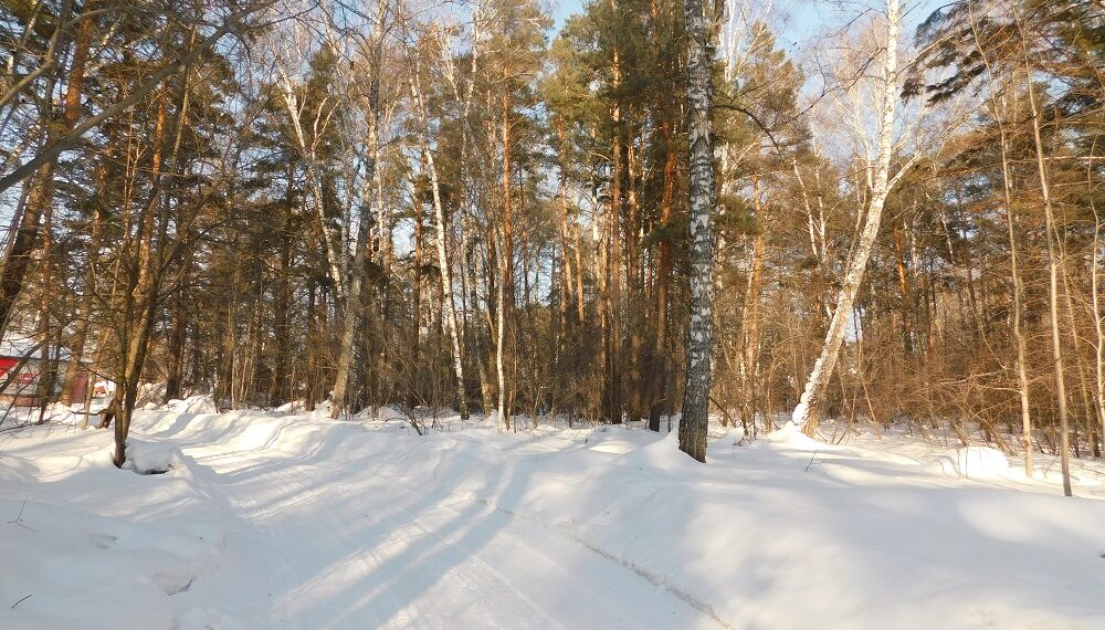 Фото Анны Зубаревой