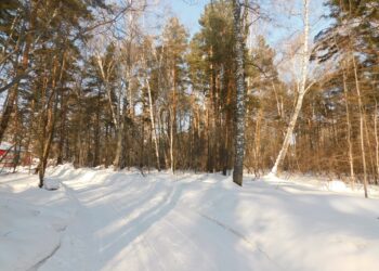 Фото Анны Зубаревой